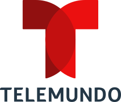 Telemundo Logo | Brookline, MA | Call: 617-991-9901